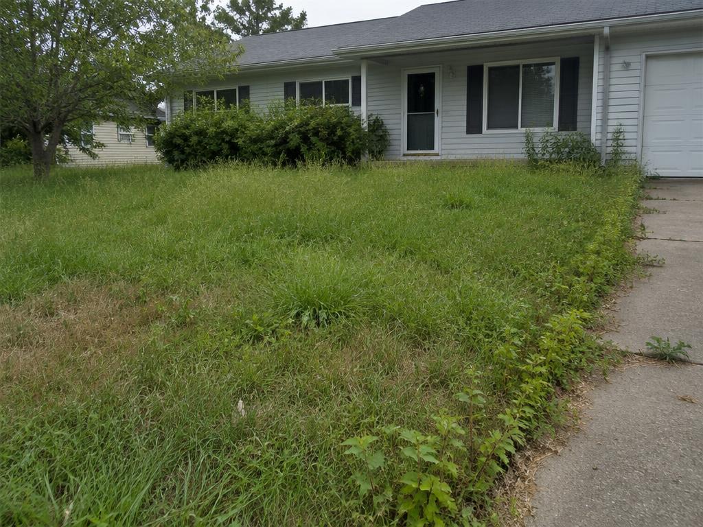 Overgrown patchy front lawn before, and freshly mowed striped lawn after