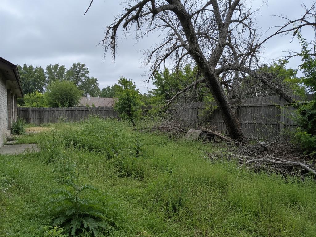Backyard with a dead leaning tree before, and a clean fenced yard after removal